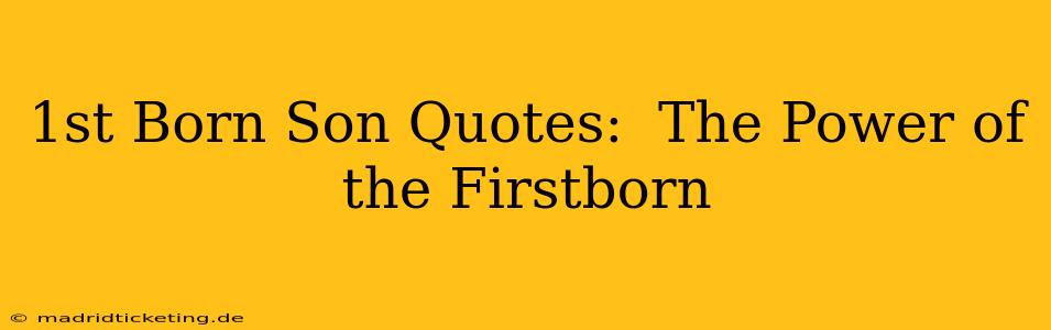 1st Born Son Quotes:  The Power of the Firstborn