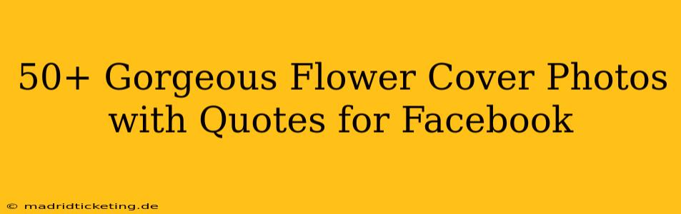 50+ Gorgeous Flower Cover Photos with Quotes for Facebook