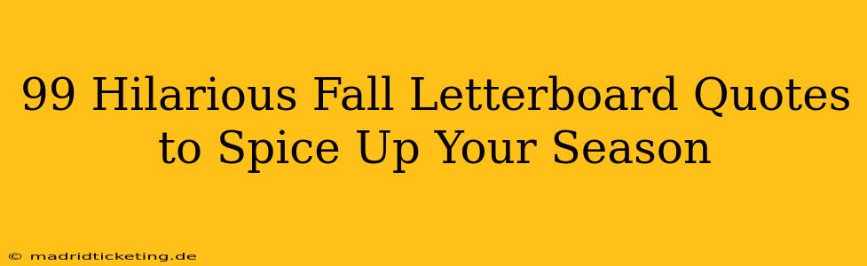 99 Hilarious Fall Letterboard Quotes to Spice Up Your Season