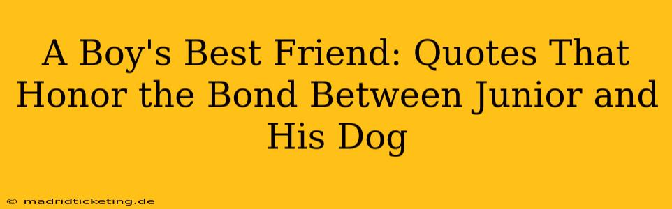 A Boy's Best Friend: Quotes That Honor the Bond Between Junior and His Dog