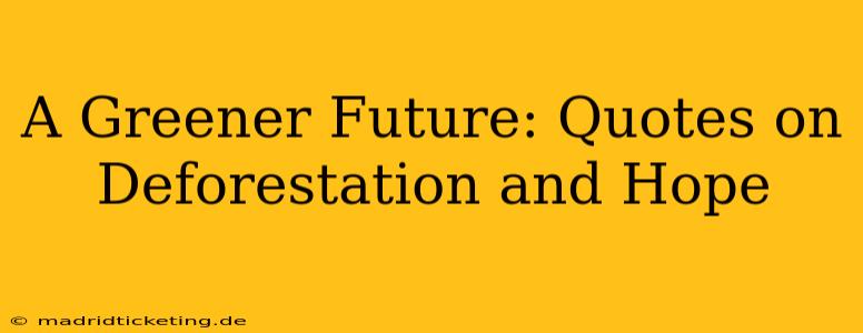 A Greener Future: Quotes on Deforestation and Hope