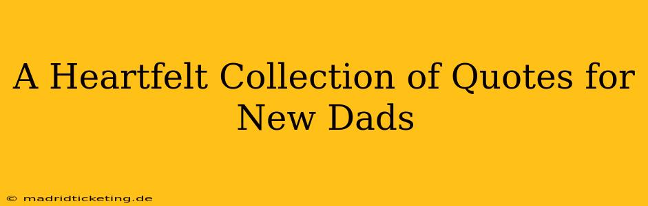 A Heartfelt Collection of Quotes for New Dads