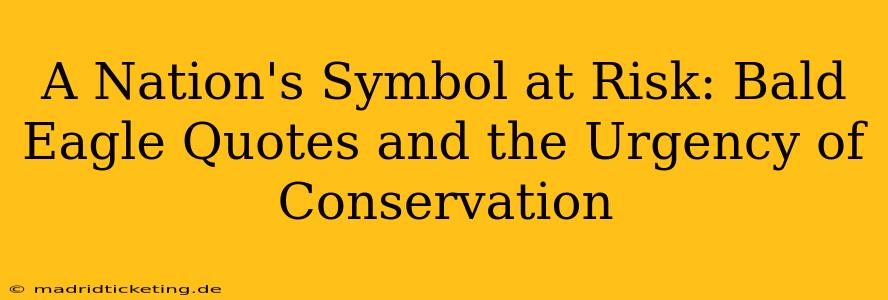 A Nation's Symbol at Risk: Bald Eagle Quotes and the Urgency of Conservation