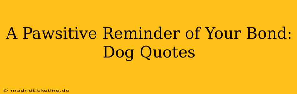 A Pawsitive Reminder of Your Bond: Dog Quotes