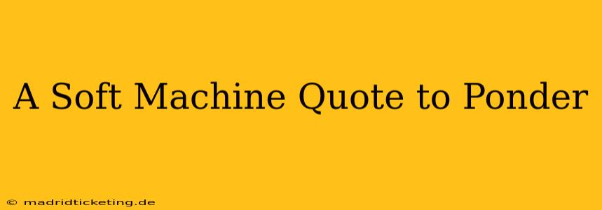 A Soft Machine Quote to Ponder