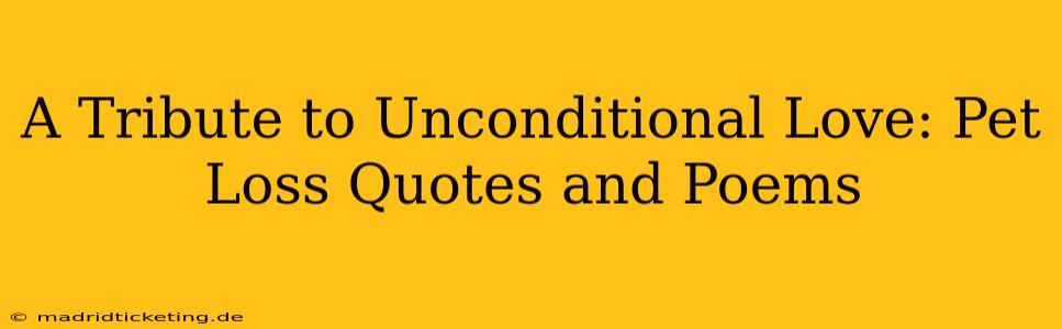A Tribute to Unconditional Love: Pet Loss Quotes and Poems