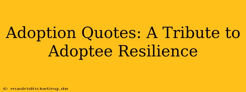 Adoption Quotes: A Tribute to Adoptee Resilience