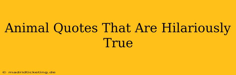 Animal Quotes That Are Hilariously True
