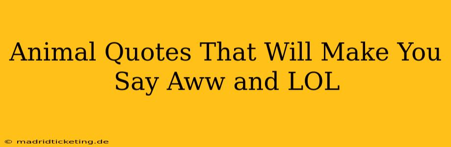 Animal Quotes That Will Make You Say Aww and LOL