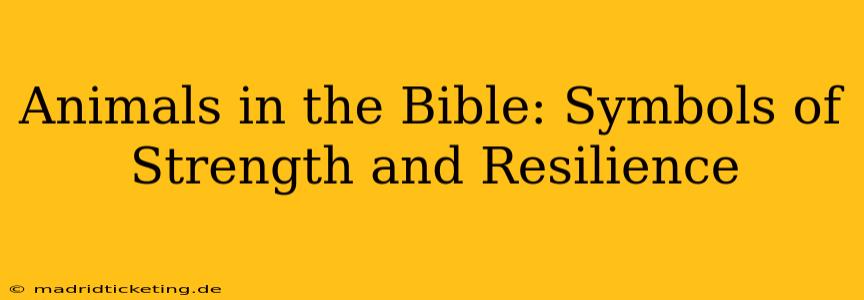 Animals in the Bible: Symbols of Strength and Resilience