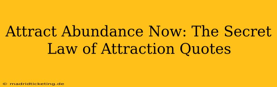 Attract Abundance Now: The Secret Law of Attraction Quotes
