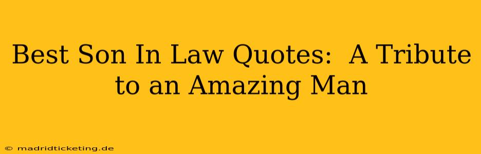 Best Son In Law Quotes:  A Tribute to an Amazing Man