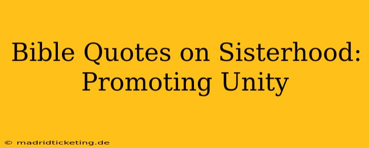 Bible Quotes on Sisterhood: Promoting Unity