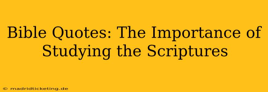 Bible Quotes: The Importance of Studying the Scriptures