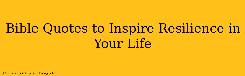 Bible Quotes to Inspire Resilience in Your Life