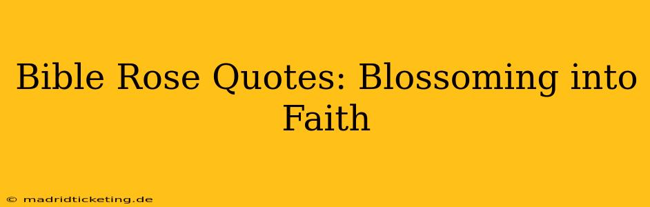 Bible Rose Quotes: Blossoming into Faith