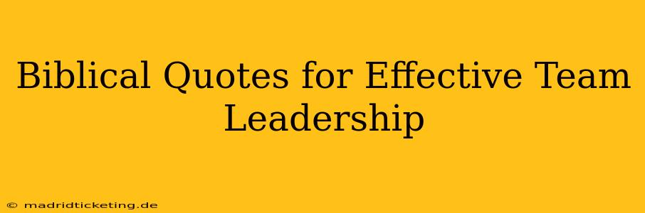 Biblical Quotes for Effective Team Leadership