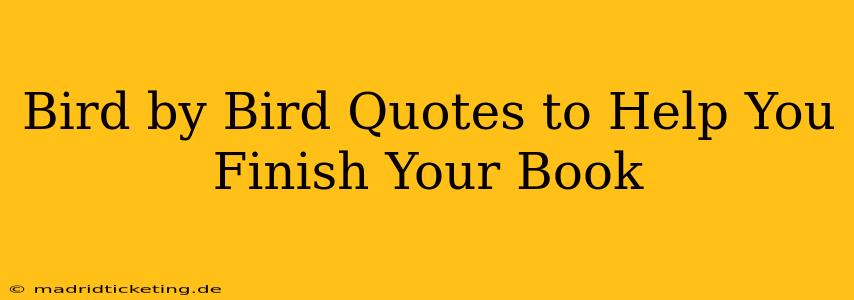 Bird by Bird Quotes to Help You Finish Your Book