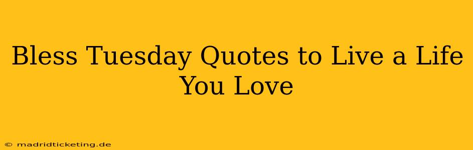 Bless Tuesday Quotes to Live a Life You Love