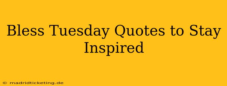 Bless Tuesday Quotes to Stay Inspired