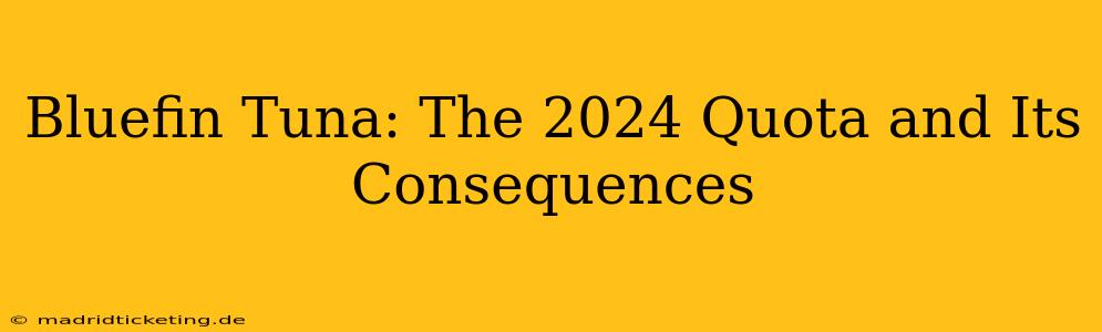 Bluefin Tuna: The 2024 Quota and Its Consequences