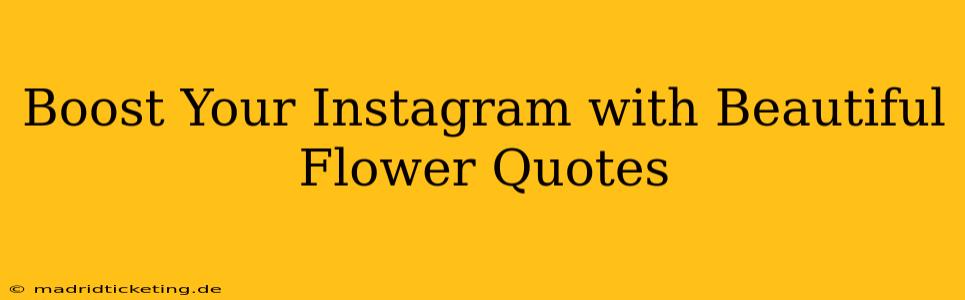Boost Your Instagram with Beautiful Flower Quotes