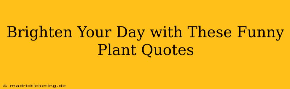 Brighten Your Day with These Funny Plant Quotes