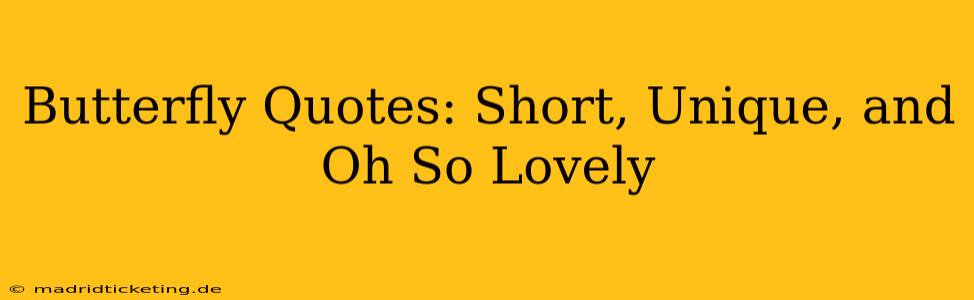Butterfly Quotes: Short, Unique, and Oh So Lovely
