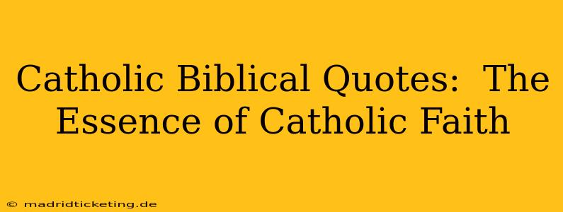 Catholic Biblical Quotes:  The Essence of Catholic Faith