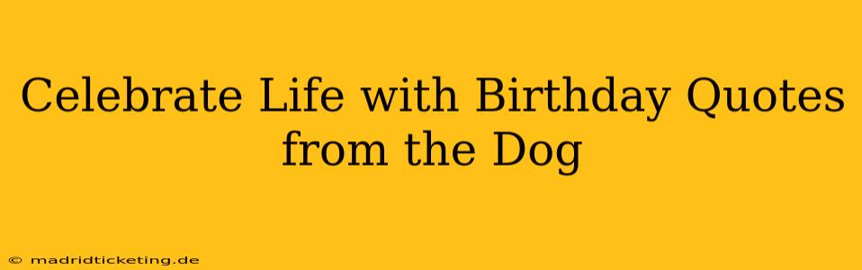 Celebrate Life with Birthday Quotes from the Dog