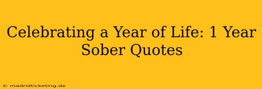 Celebrating a Year of Life: 1 Year Sober Quotes