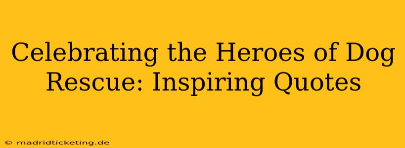 Celebrating the Heroes of Dog Rescue: Inspiring Quotes