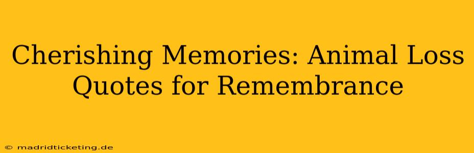 Cherishing Memories: Animal Loss Quotes for Remembrance