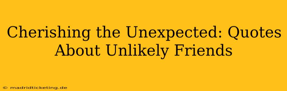 Cherishing the Unexpected: Quotes About Unlikely Friends