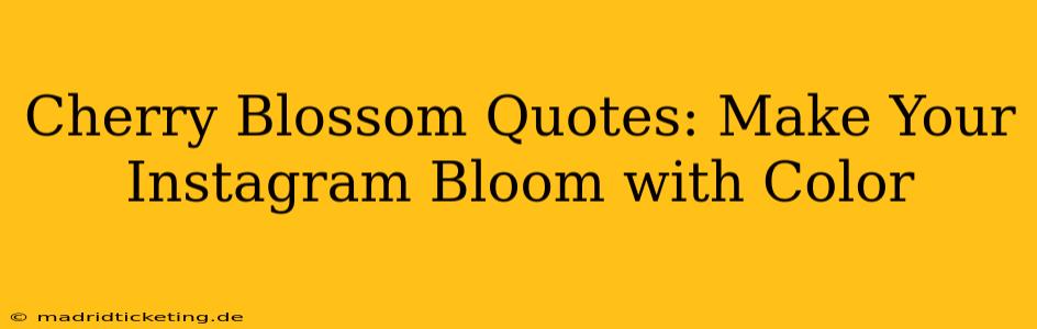 Cherry Blossom Quotes: Make Your Instagram Bloom with Color
