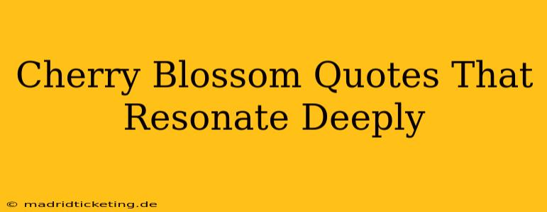 Cherry Blossom Quotes That Resonate Deeply