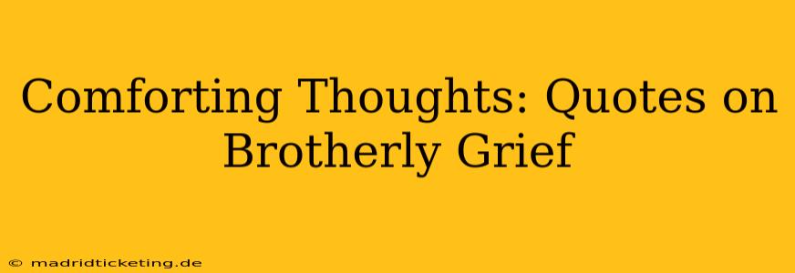 Comforting Thoughts: Quotes on Brotherly Grief
