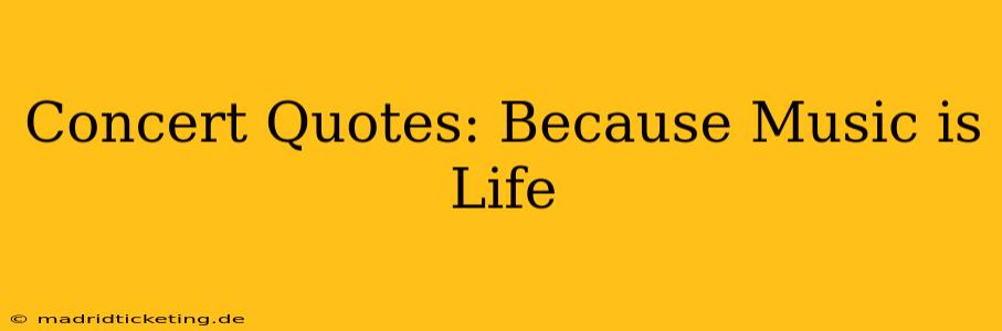 Concert Quotes: Because Music is Life