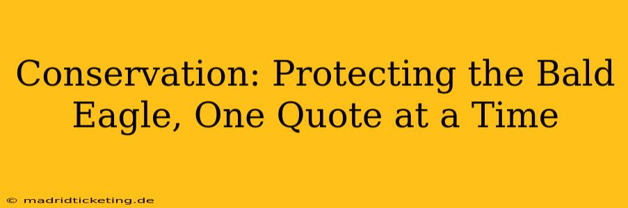 Conservation: Protecting the Bald Eagle, One Quote at a Time
