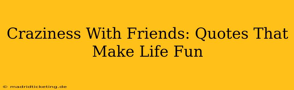 Craziness With Friends: Quotes That Make Life Fun