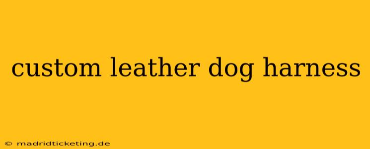 custom leather dog harness