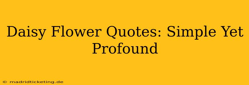 Daisy Flower Quotes: Simple Yet Profound