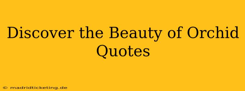 Discover the Beauty of Orchid Quotes
