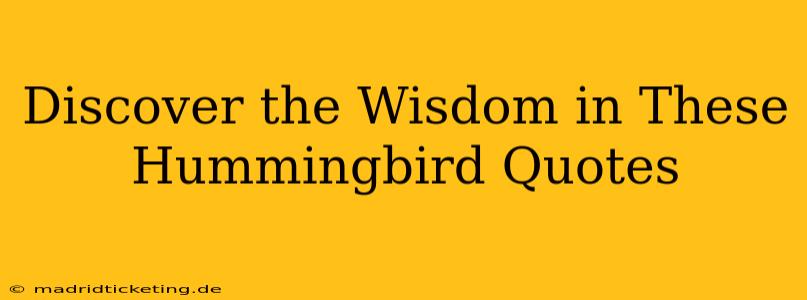 Discover the Wisdom in These Hummingbird Quotes
