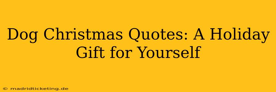 Dog Christmas Quotes: A Holiday Gift for Yourself