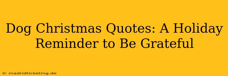 Dog Christmas Quotes: A Holiday Reminder to Be Grateful