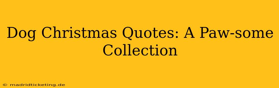 Dog Christmas Quotes: A Paw-some Collection