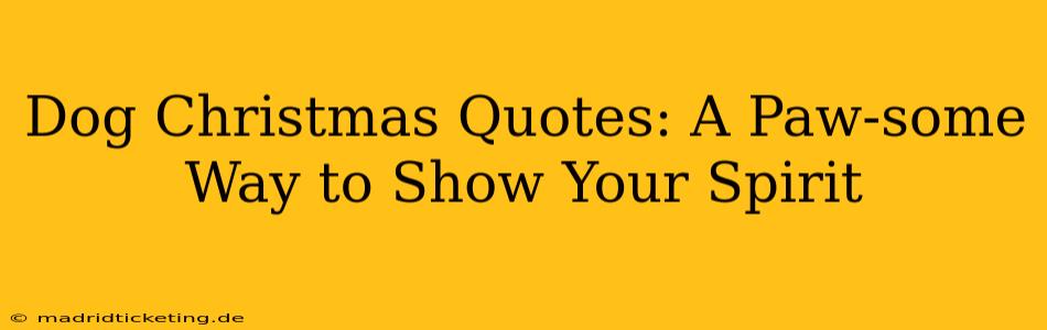 Dog Christmas Quotes: A Paw-some Way to Show Your Spirit