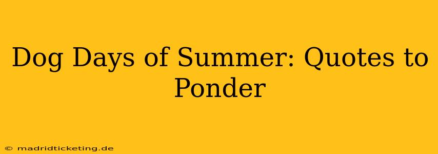 Dog Days of Summer: Quotes to Ponder