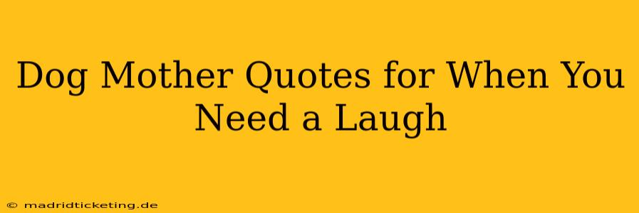 Dog Mother Quotes for When You Need a Laugh